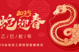 辭舊迎新，蛇舞華章丨深圳容金科技全體員工祝您新春快樂！