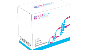 對(duì)蝦副溶血性弧菌恒溫核酸檢測(cè)試劑盒（免提?。? height='100'>
			</a>
		</figure>
		<h4 class=