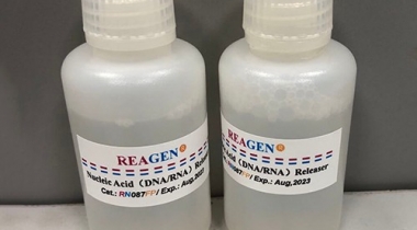 Nucleic Acid（DNA/RNA）Releaser<m met-id=641 met-table=product met-field=title></m>